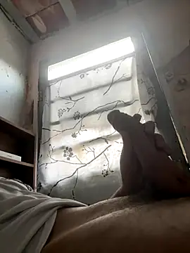 Snapshot of 24_c chatting on 2, 12, 2025 24 c online show from 2, 12, 2025