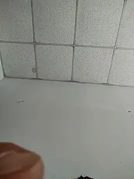 platone09 online show from 20, 4, 2026