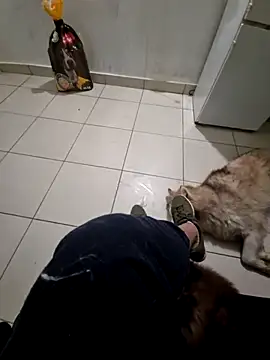 Snapshot of RITAEGIH chatting on 2, 3, 2026 RITAEGIH online show from 2, 3, 2026