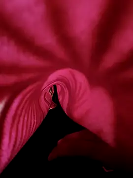 Snapshot of DesiAnita3693 chatting on 21, 11, 2025 DesiAnita3693 online show from 21, 11, 2025