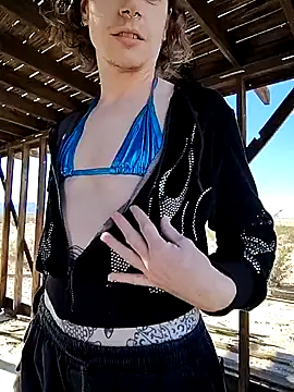 dragonlock online show from 29, 11, 2025