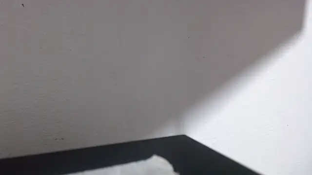 ebony cristal 1 online show from 5, 3, 2026