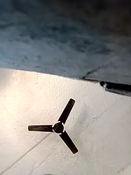 Reema 143 online show from 19, 2, 2026