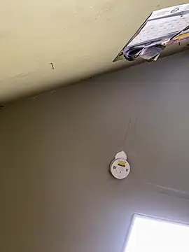 24denio online show from 7, 3, 2026