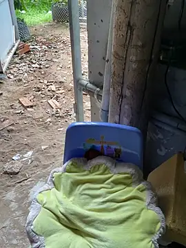 XndSeraphina online show from 12, 7, 2026