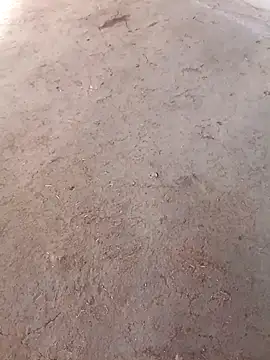 Nandani-758 online show from 2, 12, 2025