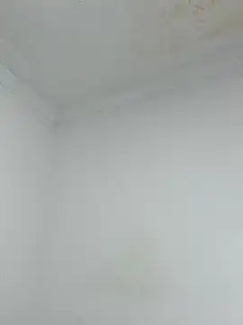  Pamela 1 online show from 17, 12, 2025