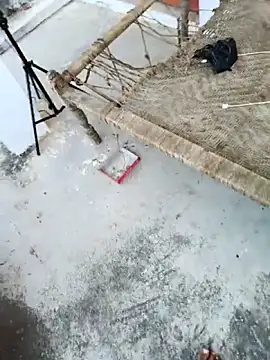 apka rockstarr online show from 27, 11, 2025