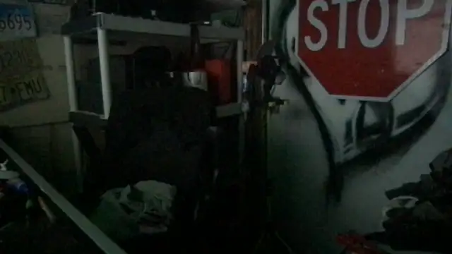 SinlessFreedom7 online show from 4, 4, 2026