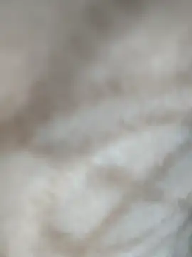 jiniya6789 online show from 11, 1, 2026