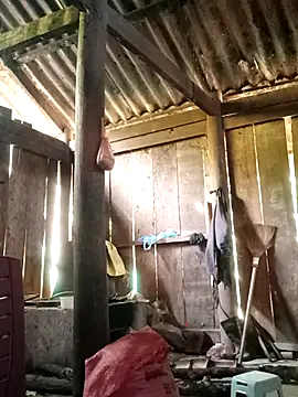 Lily-ross22 online show from 25, 11, 2025