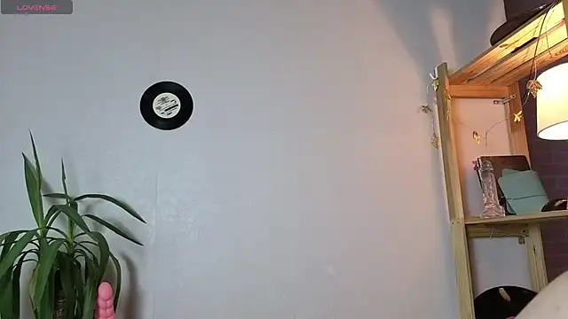 Me1inMonro online show from 27, 11, 2025