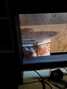 kuggttt online show from 30, 4, 2026