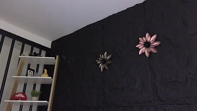 Paulo 527 online show from 8, 1, 2026