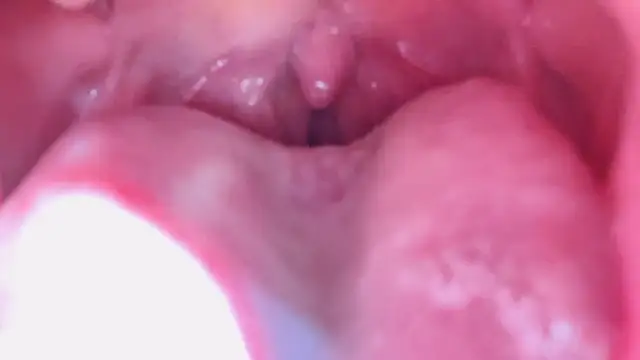 Snapshot of LT-333 chatting on 17, 1, 2026 LT-333 online show from 17, 1, 2026