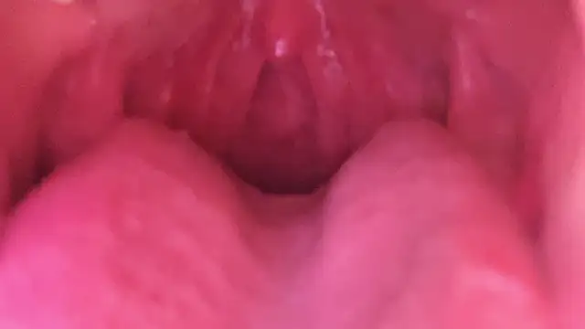 Snapshot of LT-333 chatting on 18, 1, 2026 LT-333 online show from 18, 1, 2026