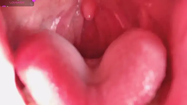 Snapshot of LT-333 chatting on 5, 2, 2026 LT-333 online show from 5, 2, 2026