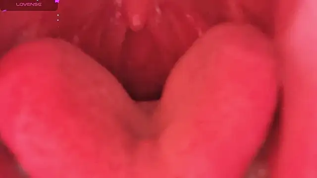 Snapshot of LT-333 chatting on 6, 2, 2026 LT-333 online show from 6, 2, 2026