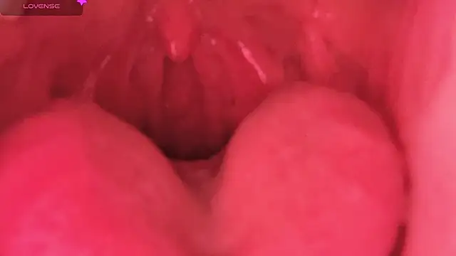 Snapshot of LT-333 chatting on 7, 2, 2026 LT-333 online show from 7, 2, 2026