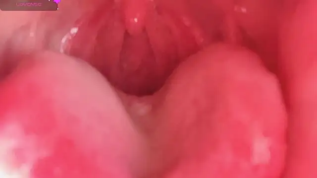 Snapshot of LT-333 chatting on 10, 2, 2026 LT-333 online show from 10, 2, 2026