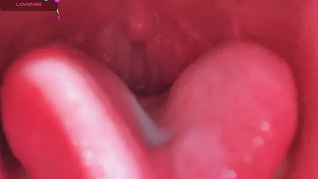 Snapshot of LT-333 chatting on 25, 2, 2026 LT-333 online show from 25, 2, 2026