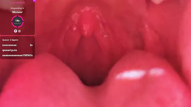 Snapshot of LT-333 chatting on 26, 2, 2026 LT-333 online show from 26, 2, 2026