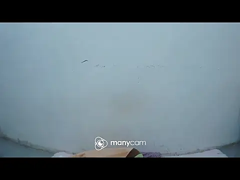 hottiemama69 online show from 11, 4, 2026