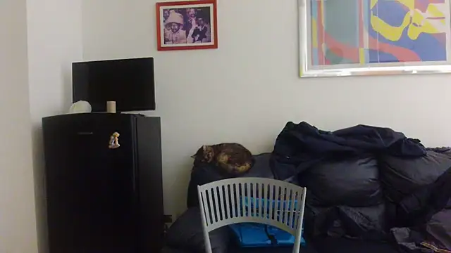 AMIRDIB2025 online show from 18, 4, 2026