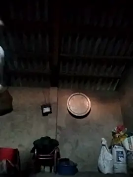 Snapshot of LeoPet2x chatting on 15, 12, 2025 LeoPet2x online show from 15, 12, 2025