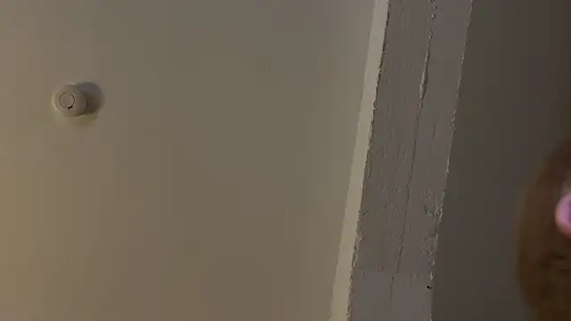 AndyLD20x6 online show from 29, 11, 2025