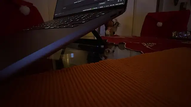 AndyLD20x6 online show from 3, 12, 2025