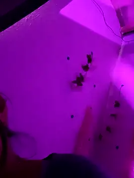 Emy cutee online show from 13, 3, 2026