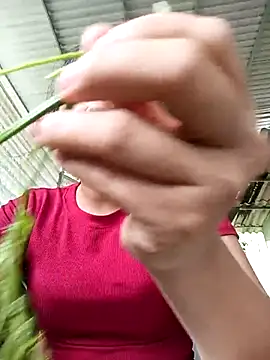 Pretty-haert online show from 15, 4, 2026