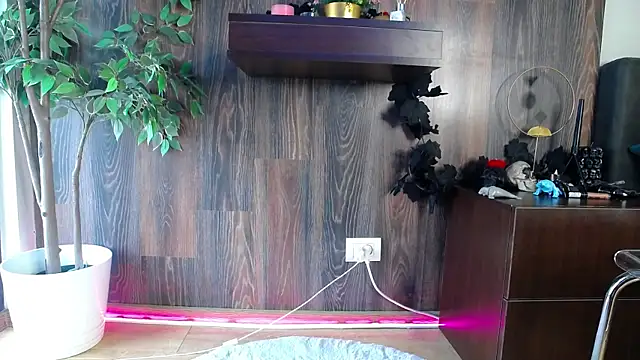 RavenFoxxy online show from 12, 2, 2026