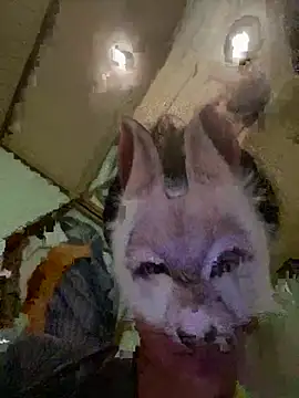 Snapshot of aotaro0721 chatting on 27, 2, 2026 aotaro0721 online show from 27, 2, 2026