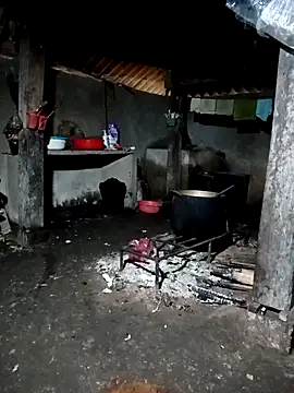 ava-dellght online show from 15, 3, 2026