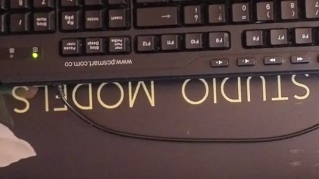 Sara valderrama  online show from 7, 7, 2026