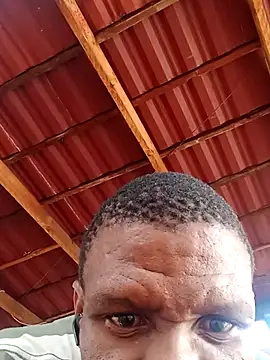 msindo online show from 9, 4, 2026