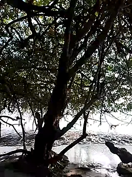 Snapshot of Andreskelly chatting on 13, 2, 2026 Andreskelly online show from 13, 2, 2026