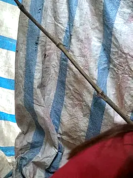 Snapshot of mit0-77 chatting on 15, 2, 2026 mit0-77 online show from 15, 2, 2026