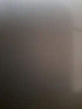 piedic online show from 3, 3, 2026