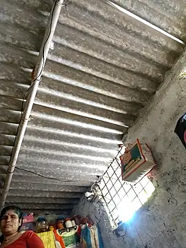 Mahi bigg online show from 1, 3, 2026