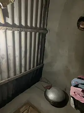 Nika-be online show from 5, 3, 2026