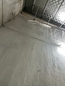 leo-kitty online show from 8, 4, 2026