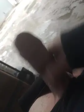 Mar81 online show from 3, 2, 2026