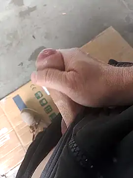 Mar81 online show from 6, 3, 2026