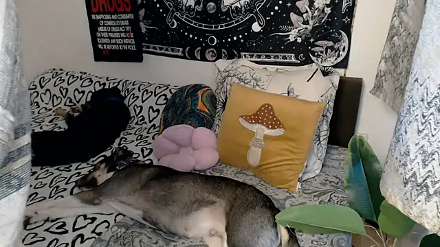 AlienforTwenty online show from 26, 2, 2026