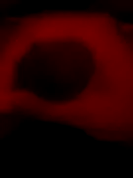 DaveeeIsTheone online show from 6, 1, 2026