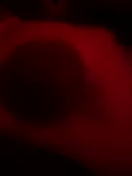 DaveeeIsTheone online show from 15, 2, 2026