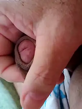 Casadocurioso50 online show from 26, 2, 2026